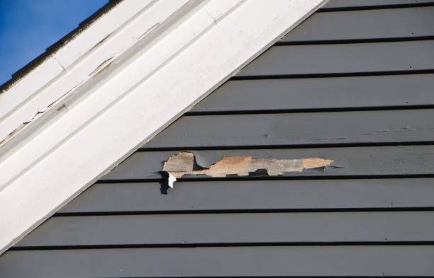 Reliable Grove Hill, AL Siding Installation Solutions